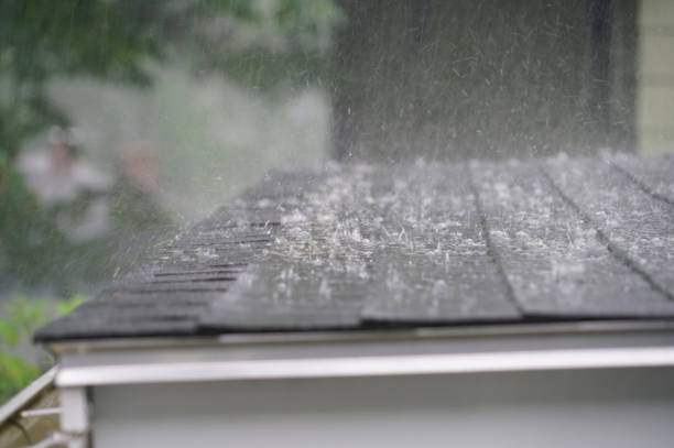 Best Emergency Roof Repair Services  in Pupukea, HI